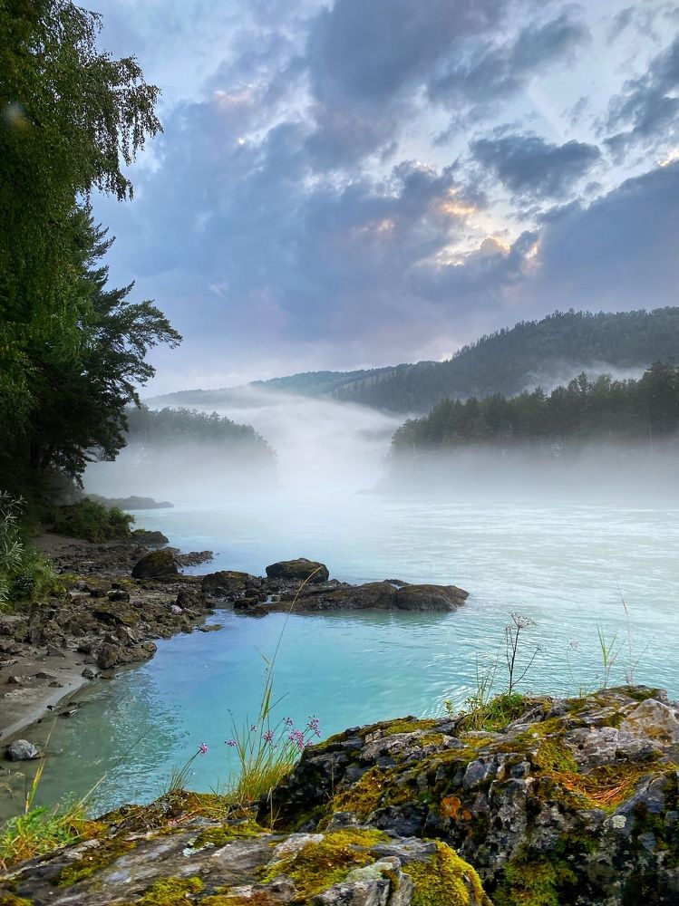 Бирюзовая катунь