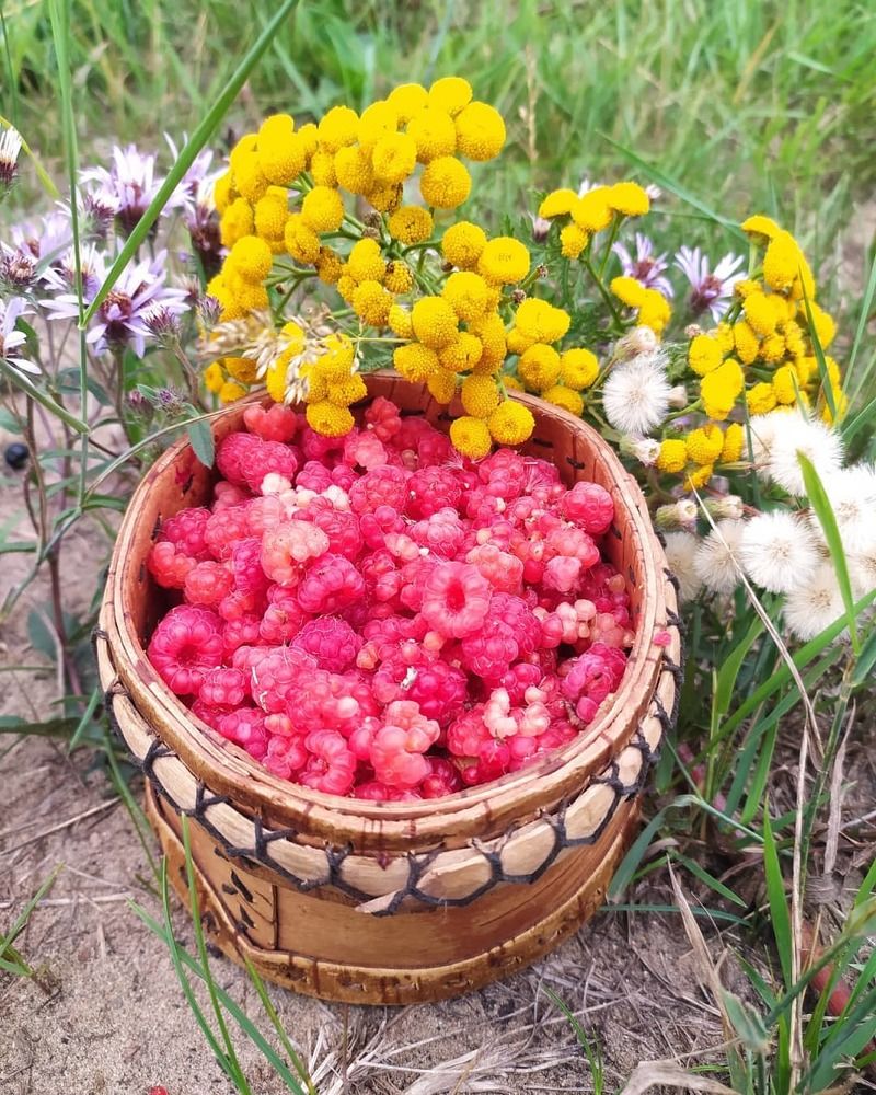 Photograph by Надежда Иванова