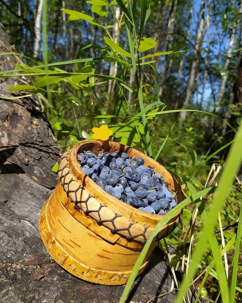 Photograph by Надежда Иванова