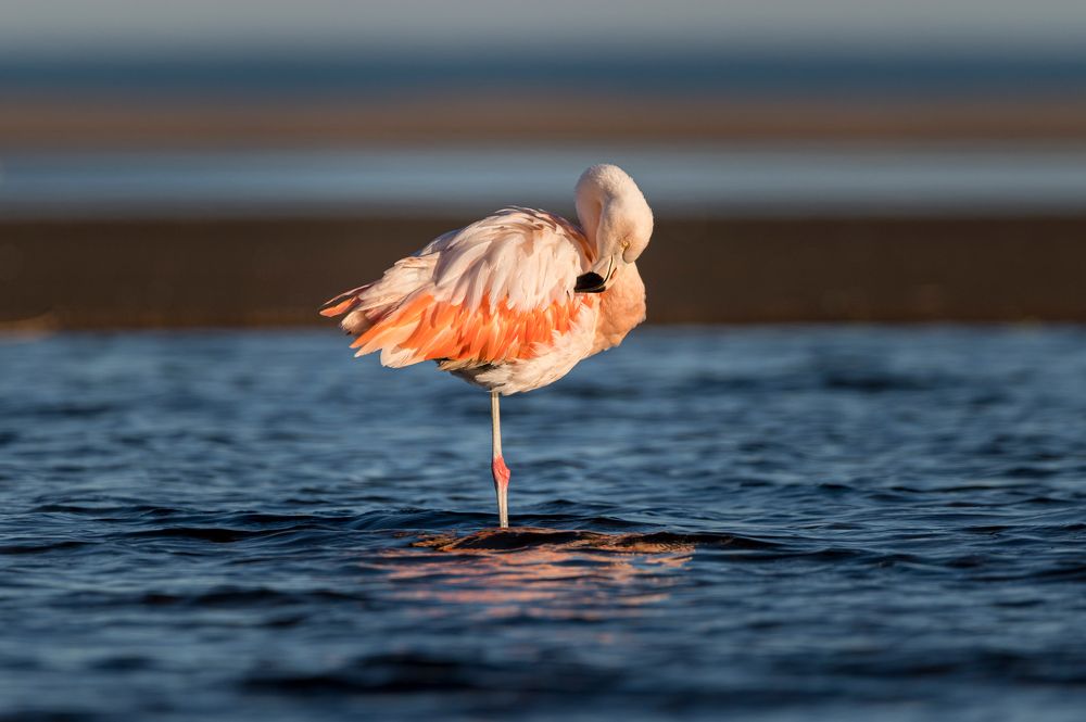 Photograph by Lucia Ana Juárez