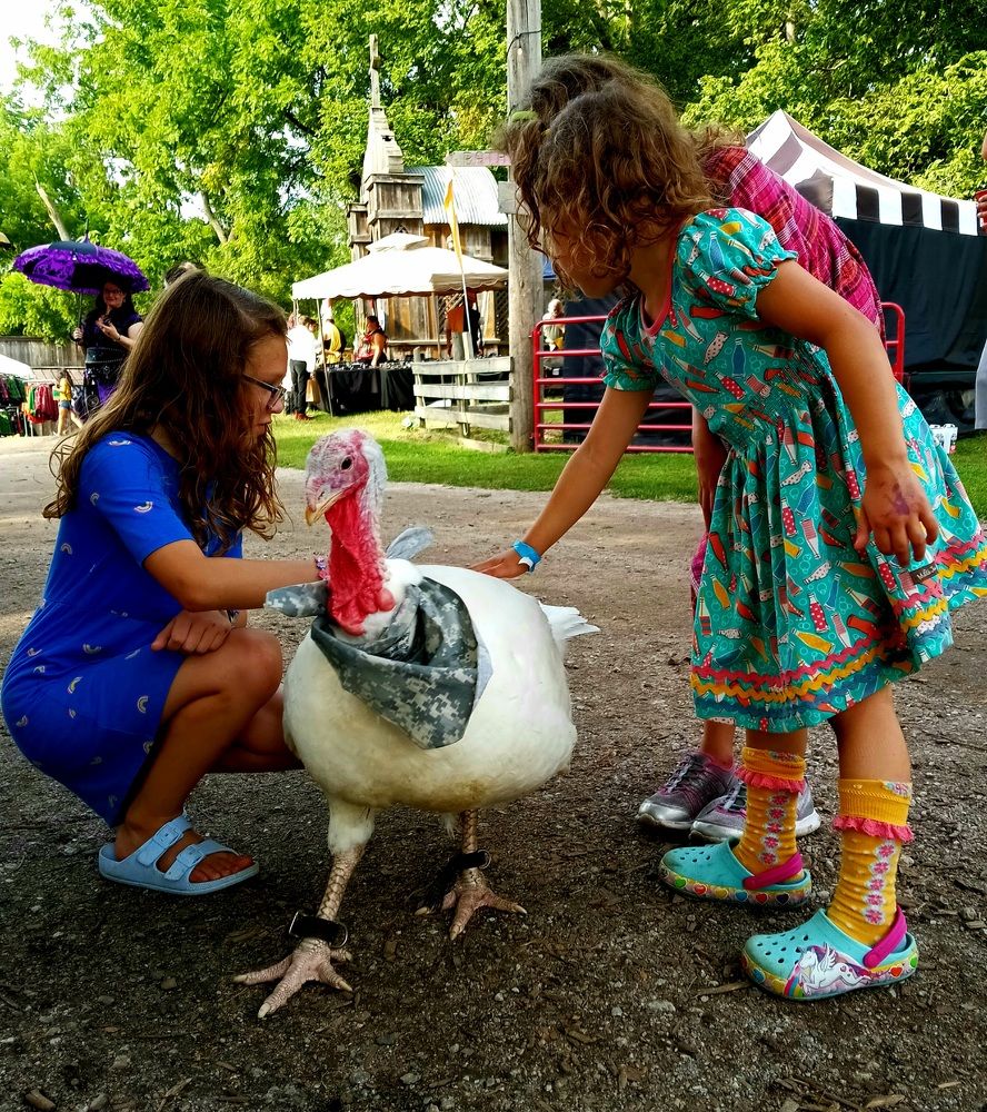 Photograph by Зинаида Кокарева