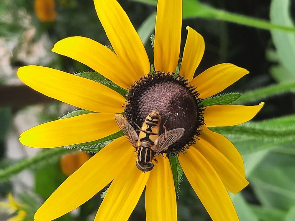 Photograph by Ольга Закаблуковская