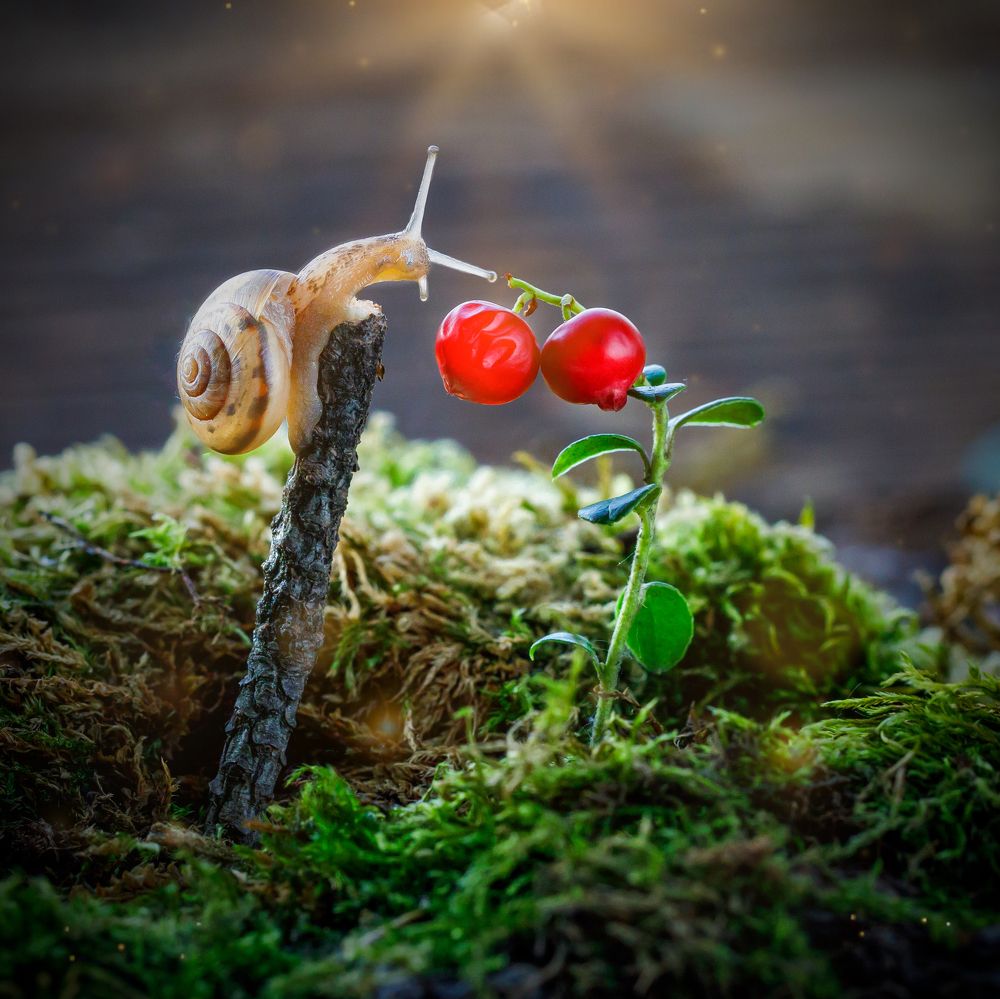 Photograph by Людмила Аксенова