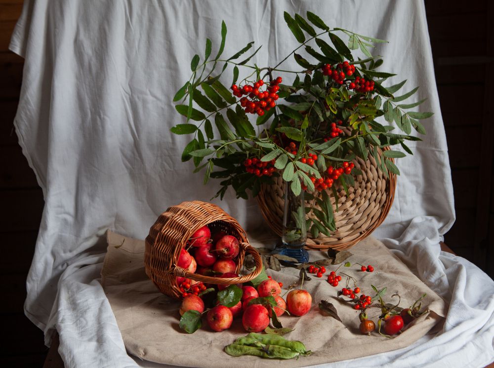 Photograph by Ольга Левакова