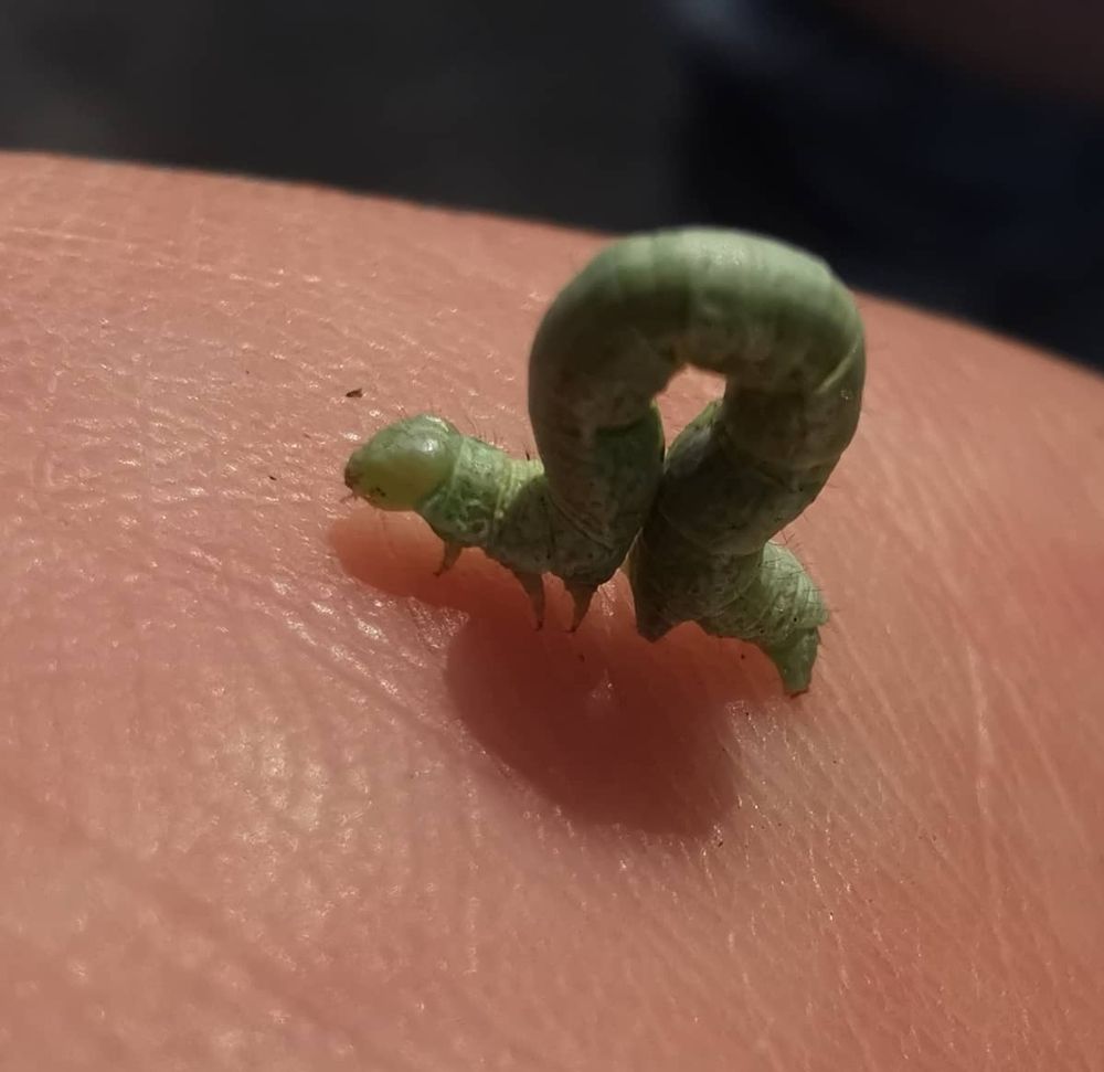 Photograph by Елена Фурсова