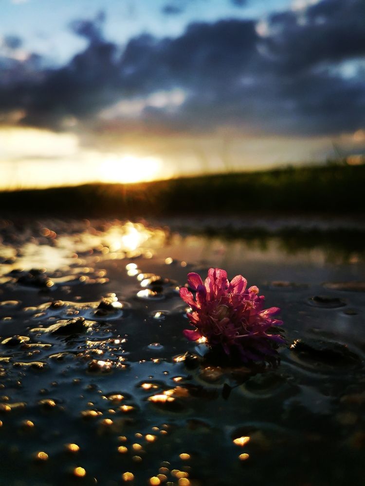 Photograph by Tatsians Tesliuk
