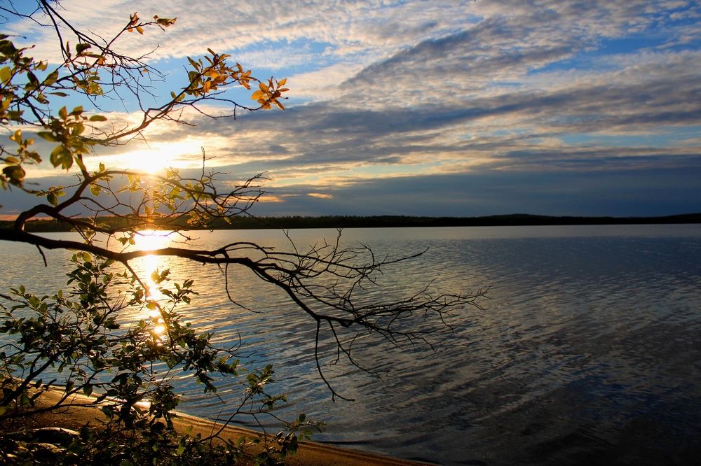 Photograph by Ирина Чечкина