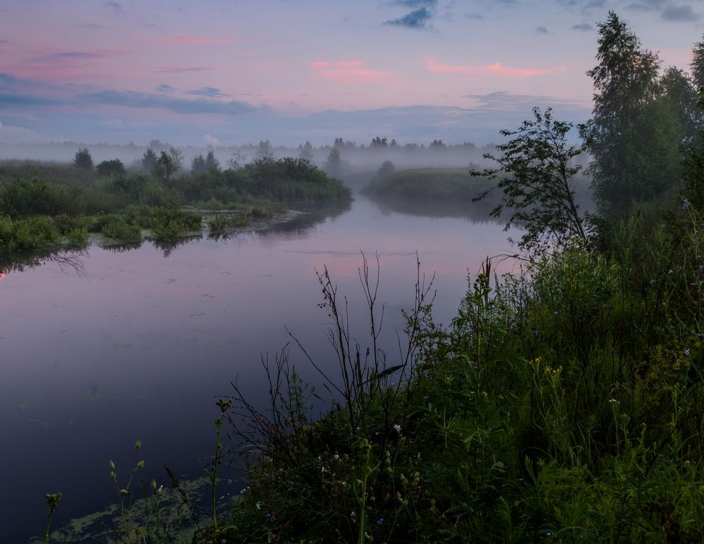 В розовых оттенках