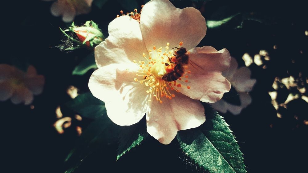 Photograph by Алёна Бондаренко