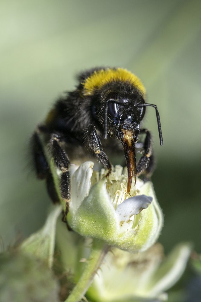 Photograph by Дериглазова Марина Владимировна