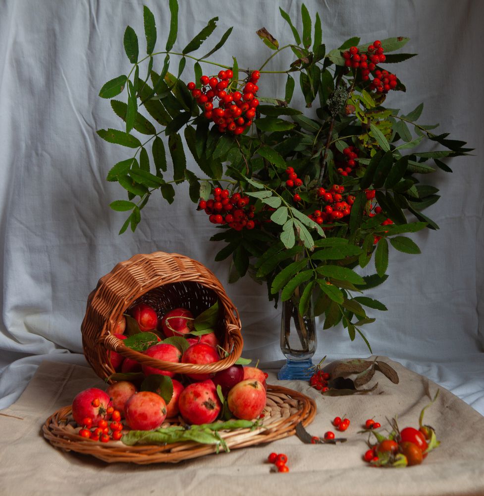 Photograph by Ольга Левакова