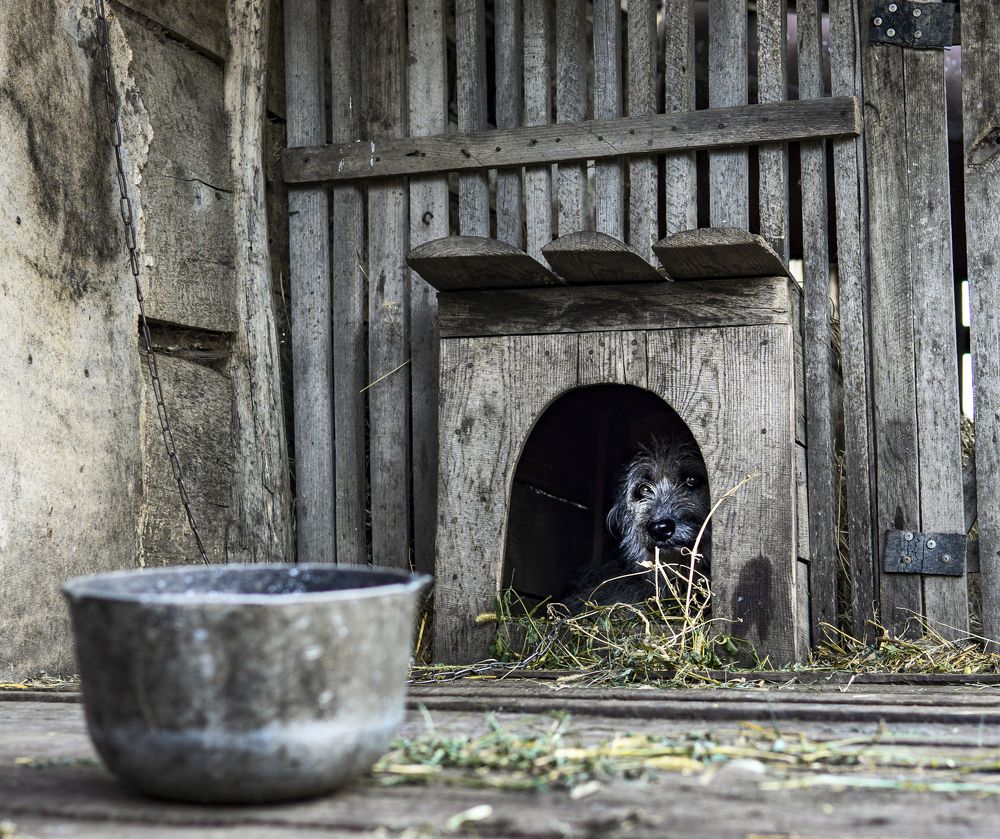 Photograph by Эльза Валеева