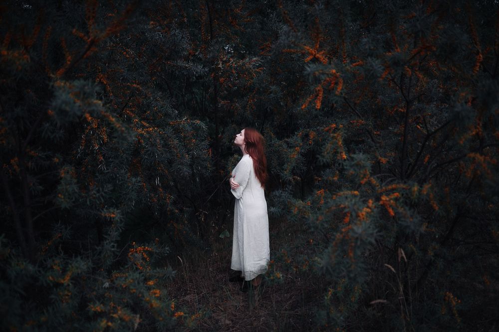 Фотография автора Рыбаков Илья