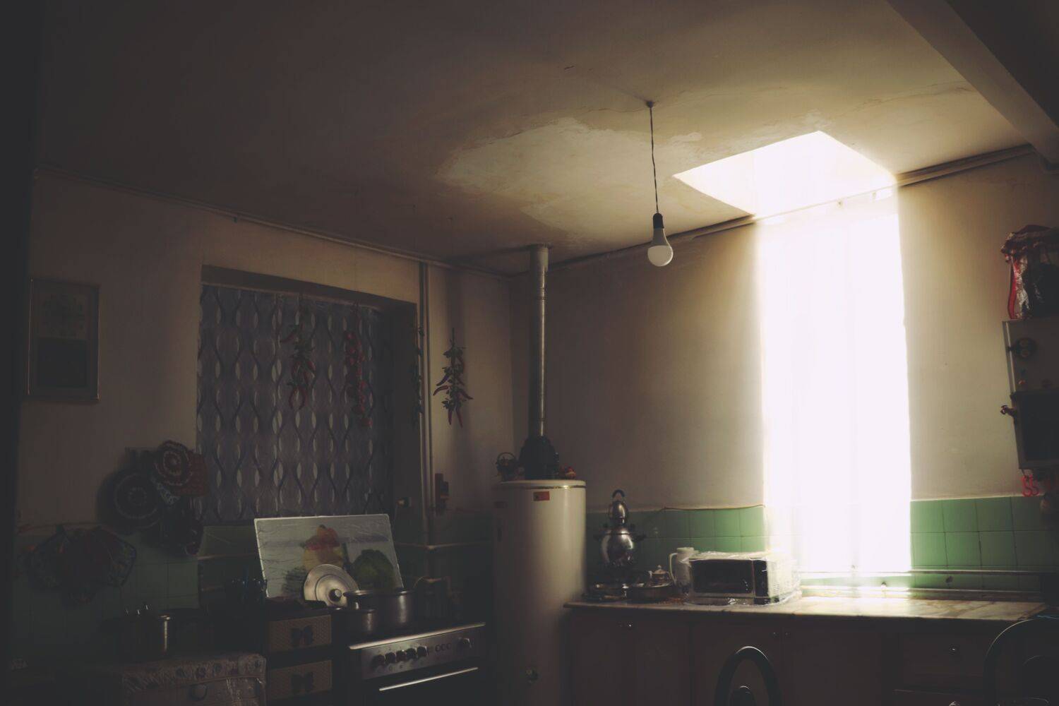 Photo #6435333