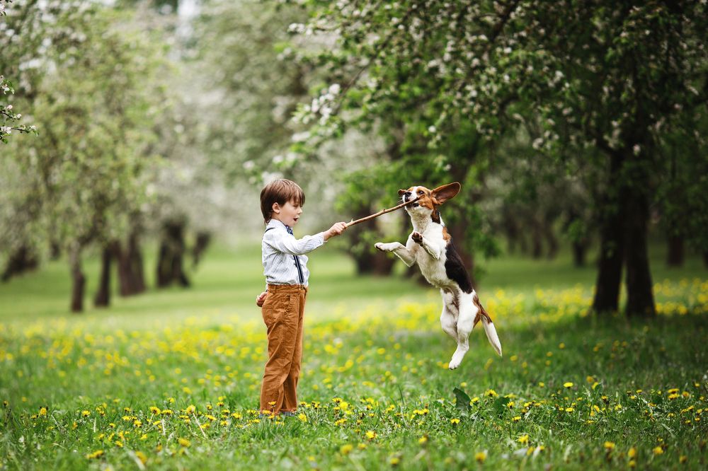 Фотография автора Гудкова Светлана