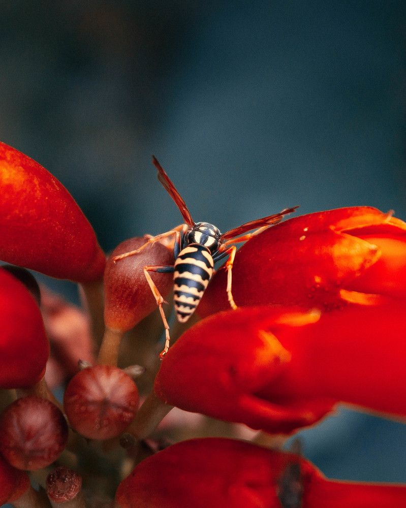 Photograph by Олеся Гамаюнова