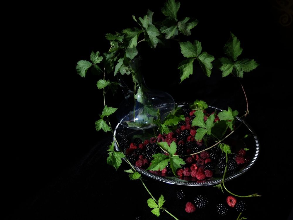 Photograph by ,Бурова Лариса