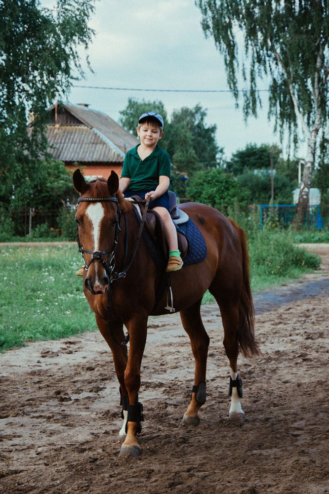 Photograph by Арина Сучкова