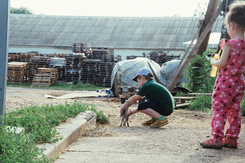 Photograph by Арина Сучкова