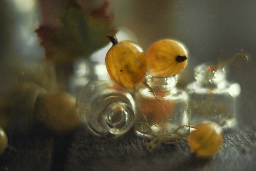 Photograph by Наталия Поникарова