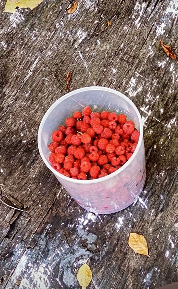 Photograph by Елена Фурсова