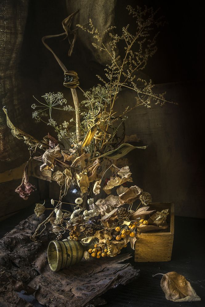 Фотография автора Milena Ivanova