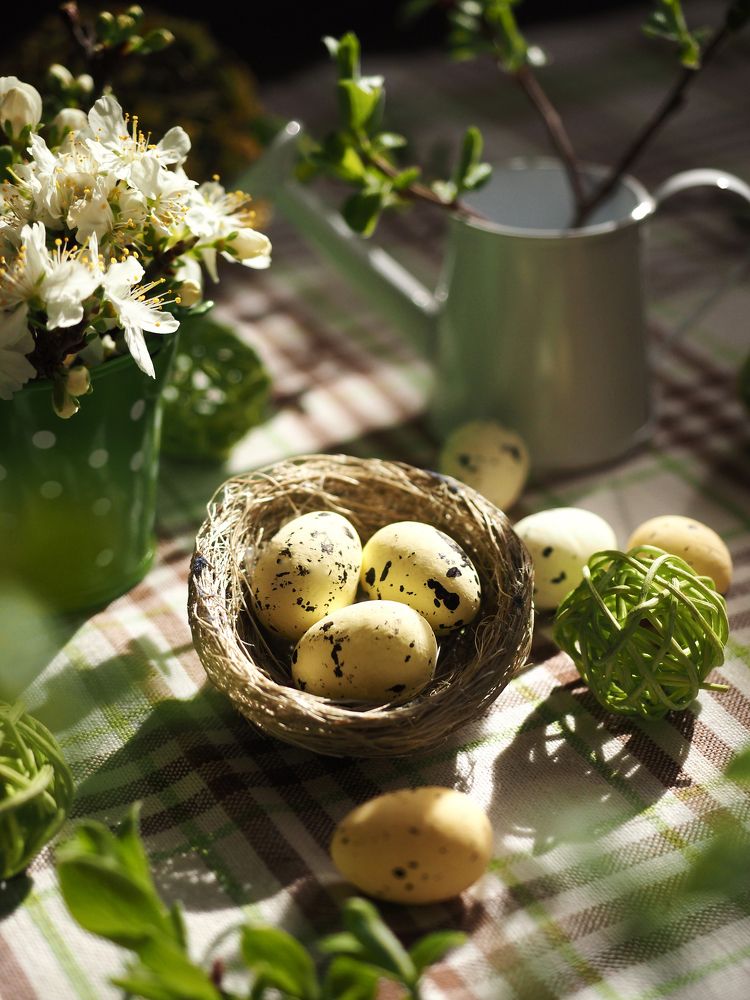 Весеннее настроение