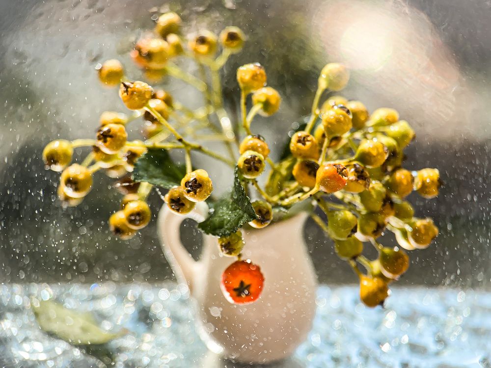 Дыхание осени