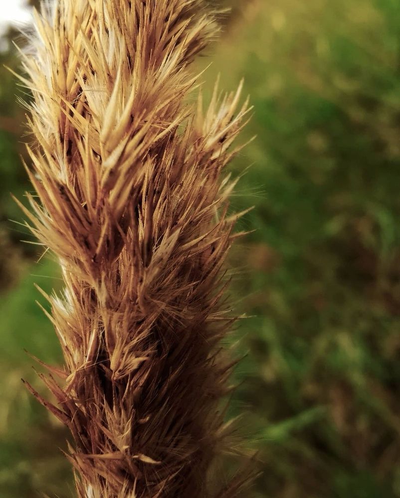 Photograph by Елена Фурсова