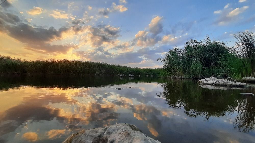 Photograph by ИГОРЬ