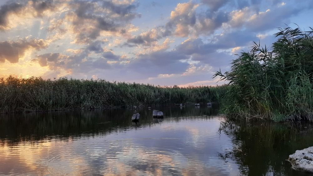 Photograph by ИГОРЬ