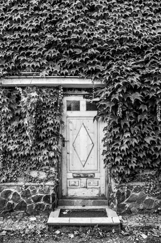 Photograph by Ренджа Шарип