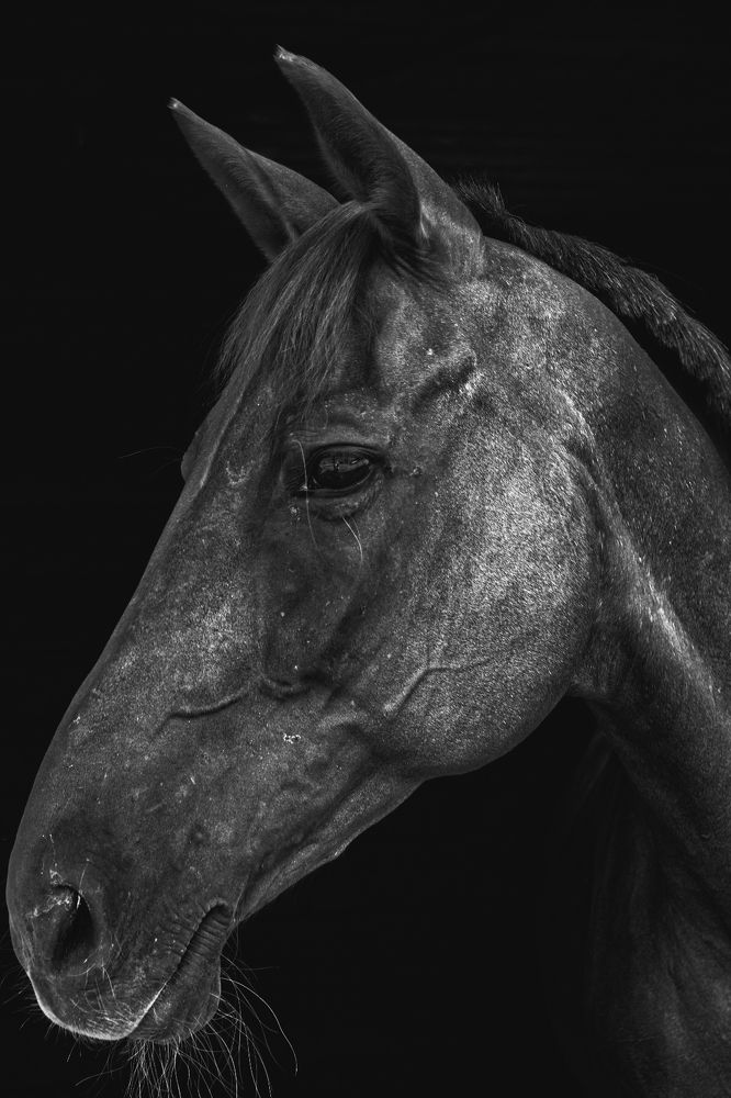 Photograph by Голод Русский