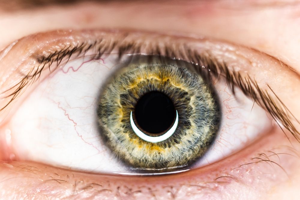 Фотография автора Дмитрий Дроздов