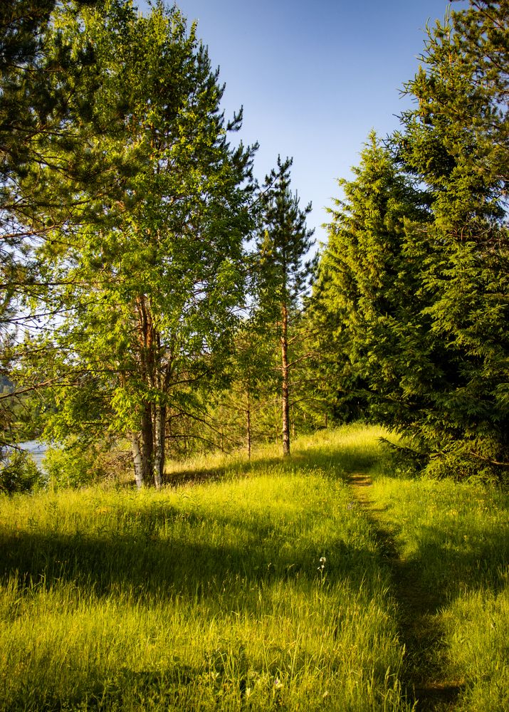 Photograph by Илья Крыжин