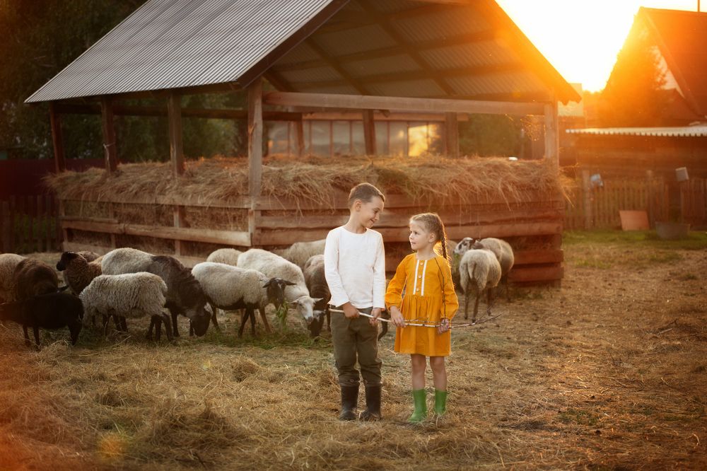 Photograph by Татьяна Припорова