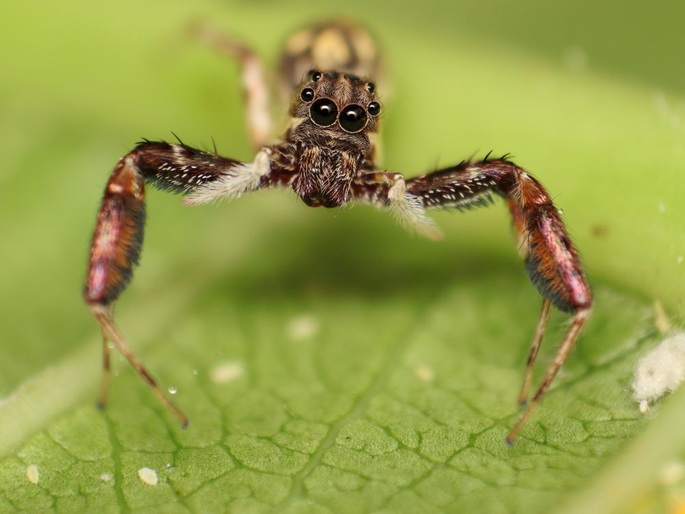 Photograph by S Nair Meenakshy