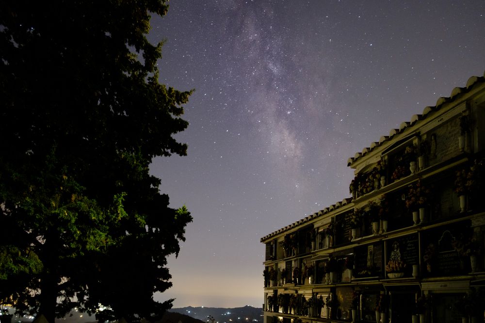 Photograph by Gary Browne