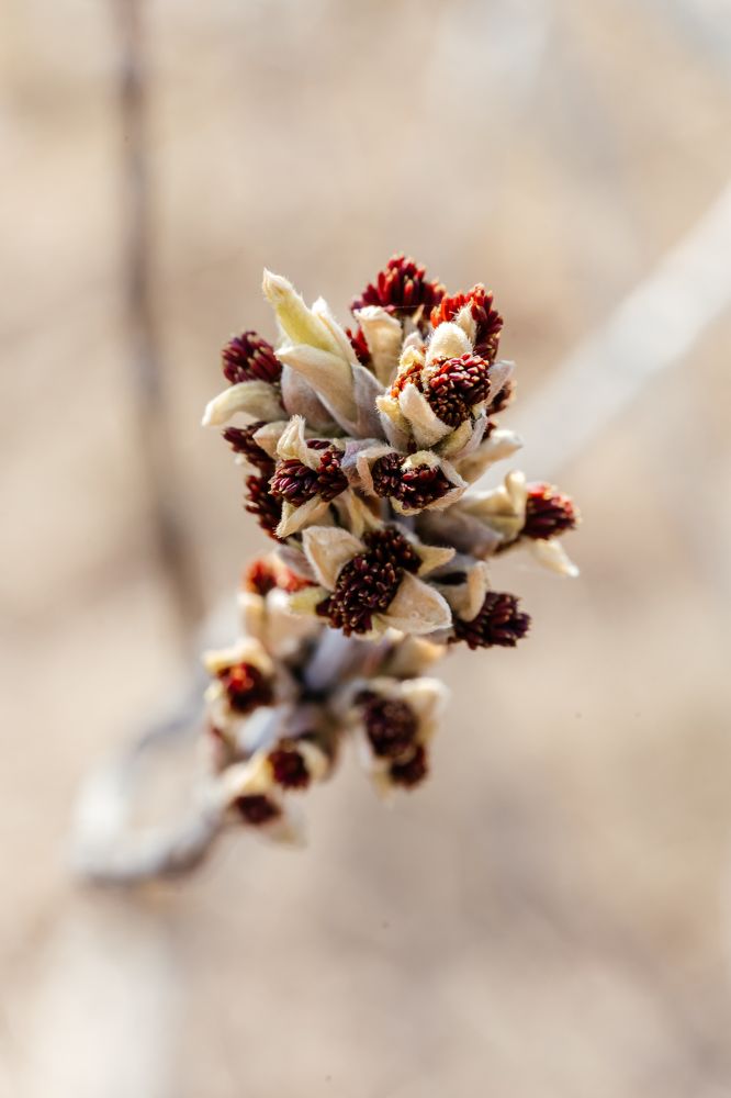 Photograph by Оксана Корчагина