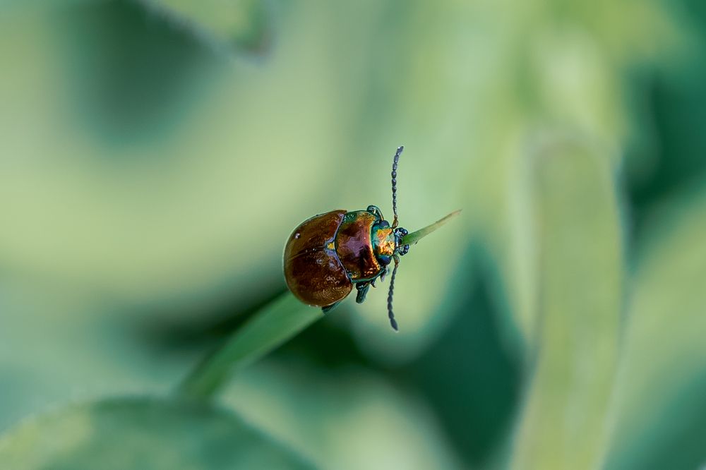 Photograph by Оксана Корчагина