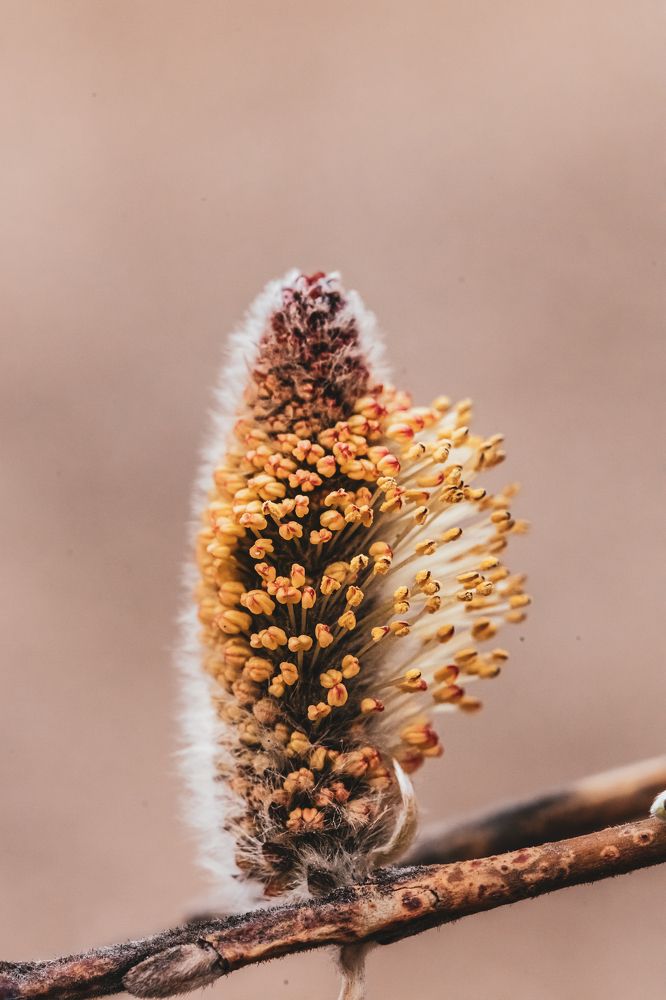 Photograph by Оксана Корчагина