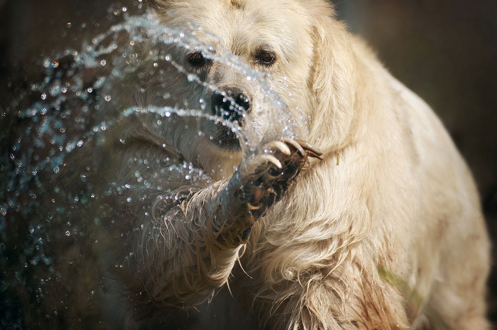 Фотография автора Дарина Матасова