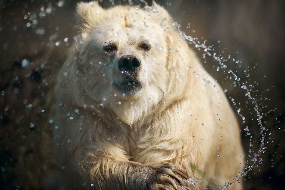 Фотография автора Дарина Матасова