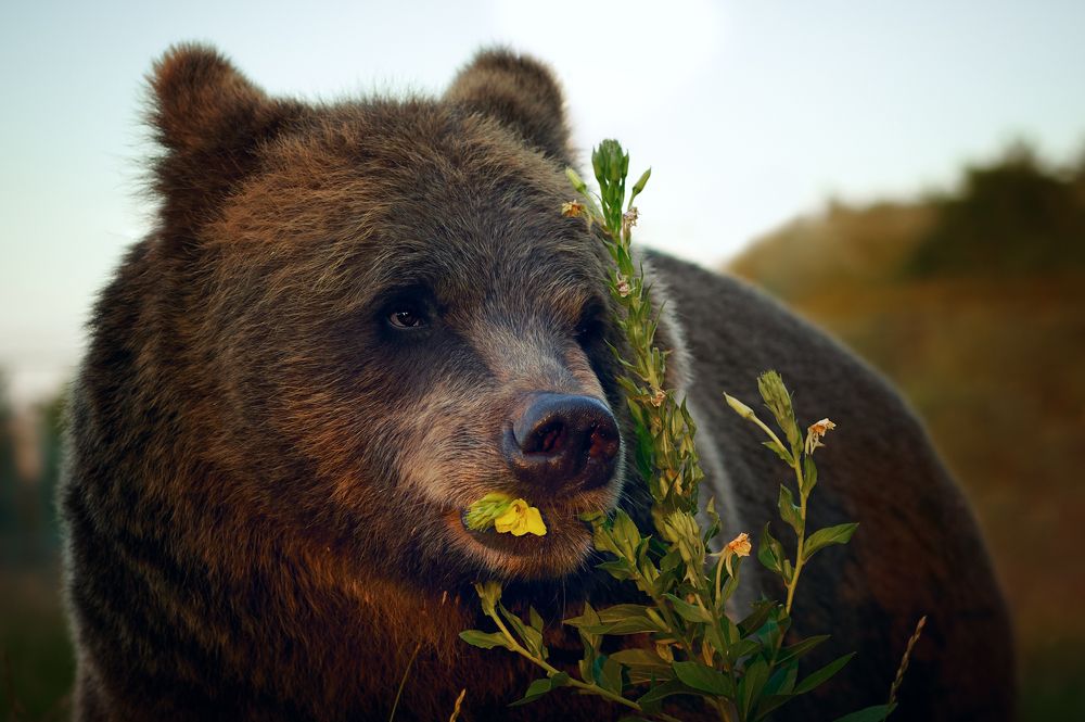 Фотография автора Дарина Матасова