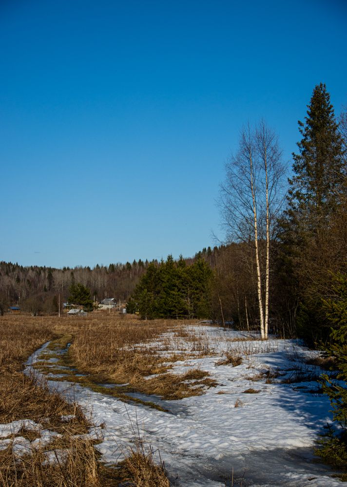 Photograph by Илья Крыжин