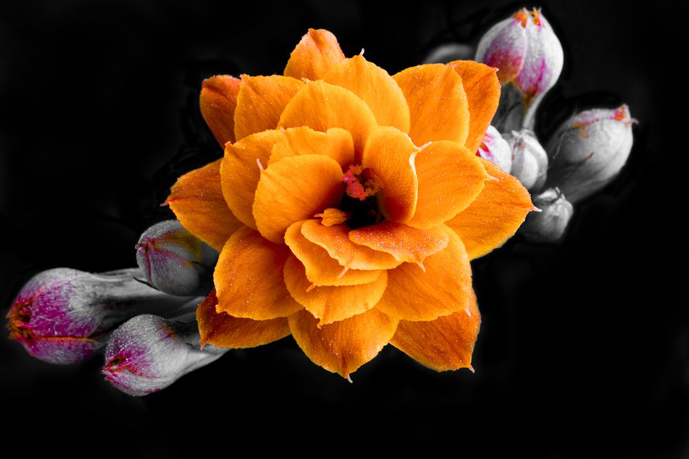 Photograph by Николай Савик