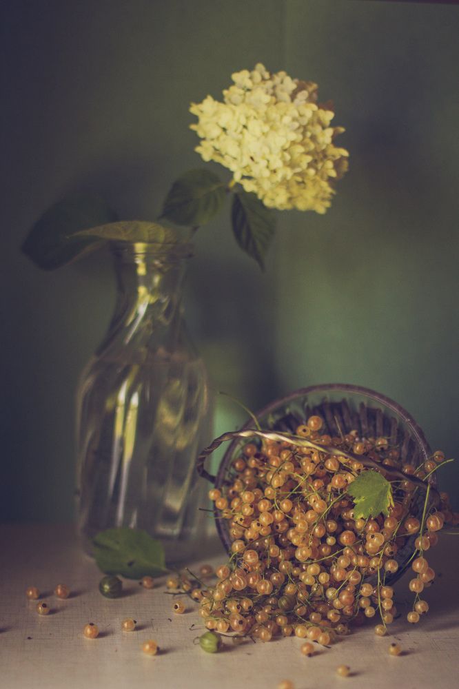 Photograph by Екатерина Фокина