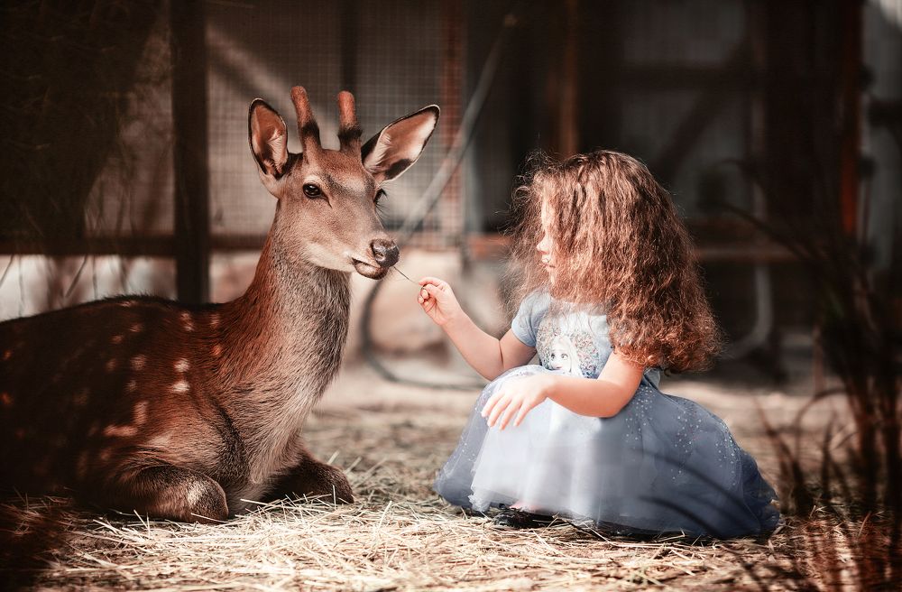 Photograph by Anna Yarkova