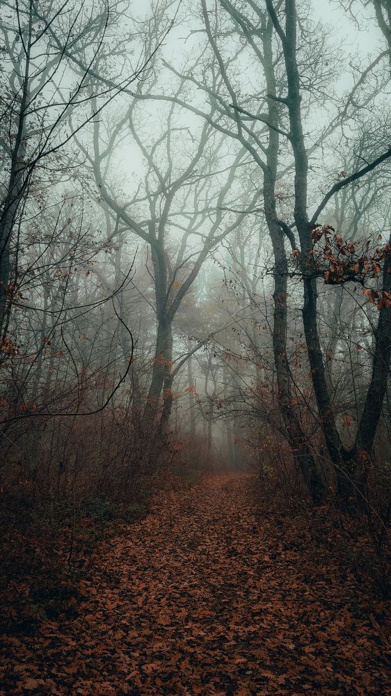 Photograph by Ольга Мирошниченко