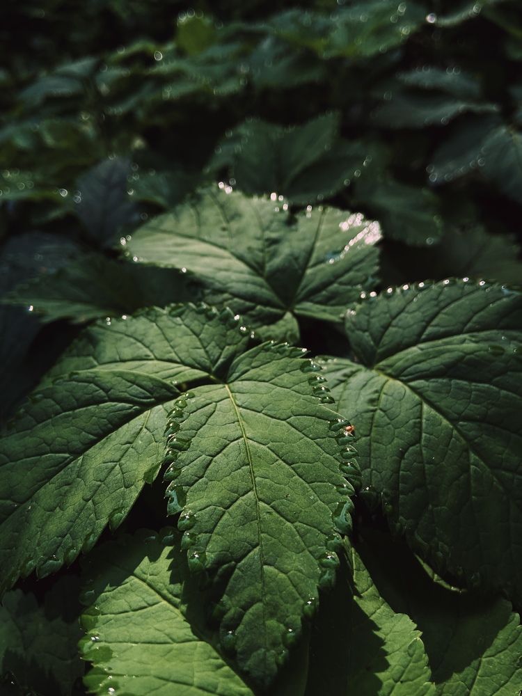 Photograph by Екатерина Николаева